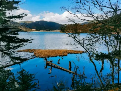 77spins Casino Mobilapp